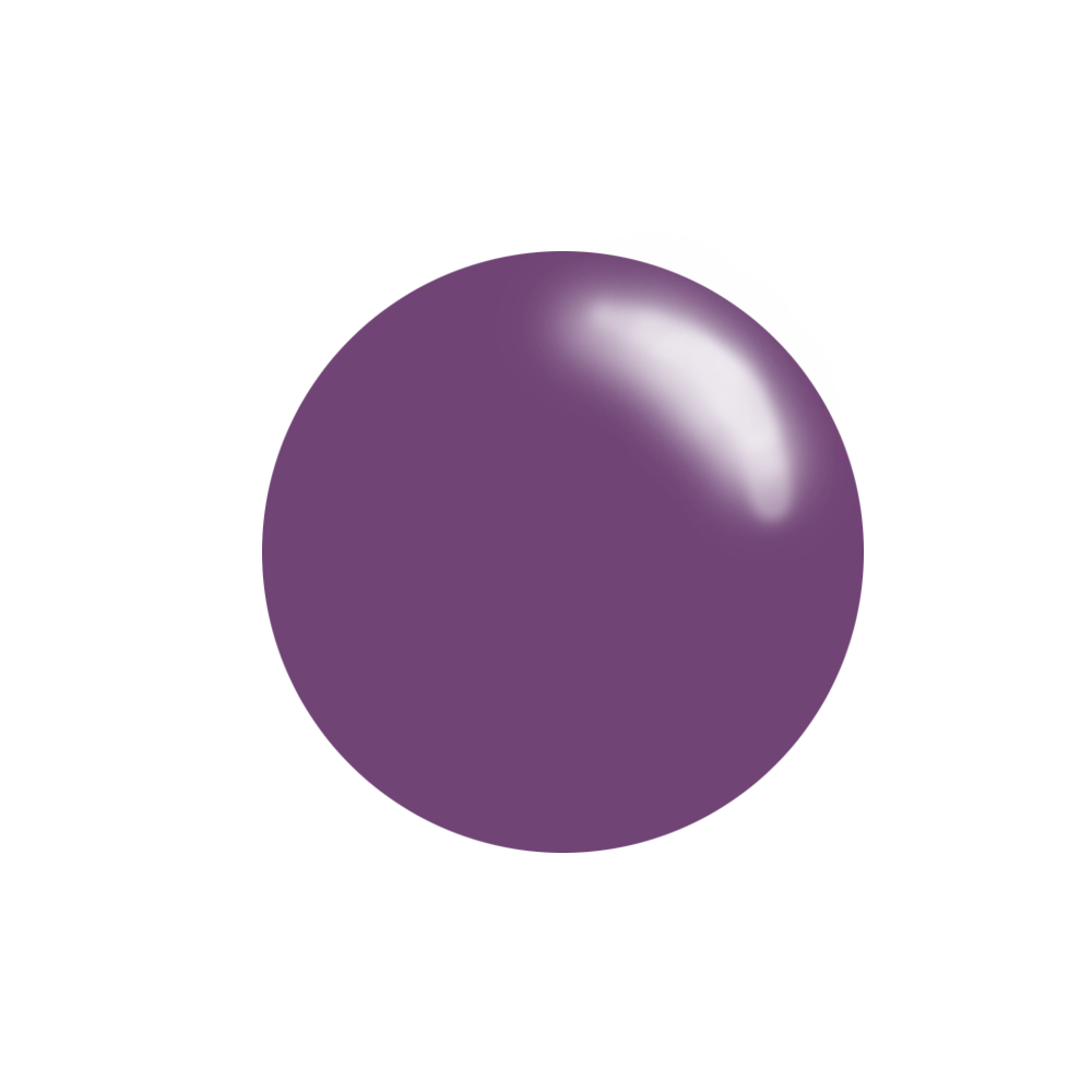 CJS Stamping Polish 5ml #169 Eggplant