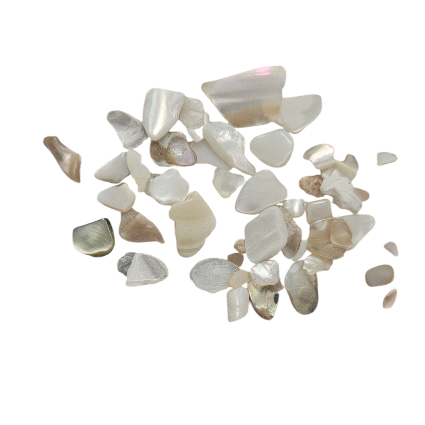 Perle de flocons de coquillage