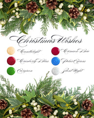 Christmas Wishes Collection (6pcs) 15ml HEMA FREE