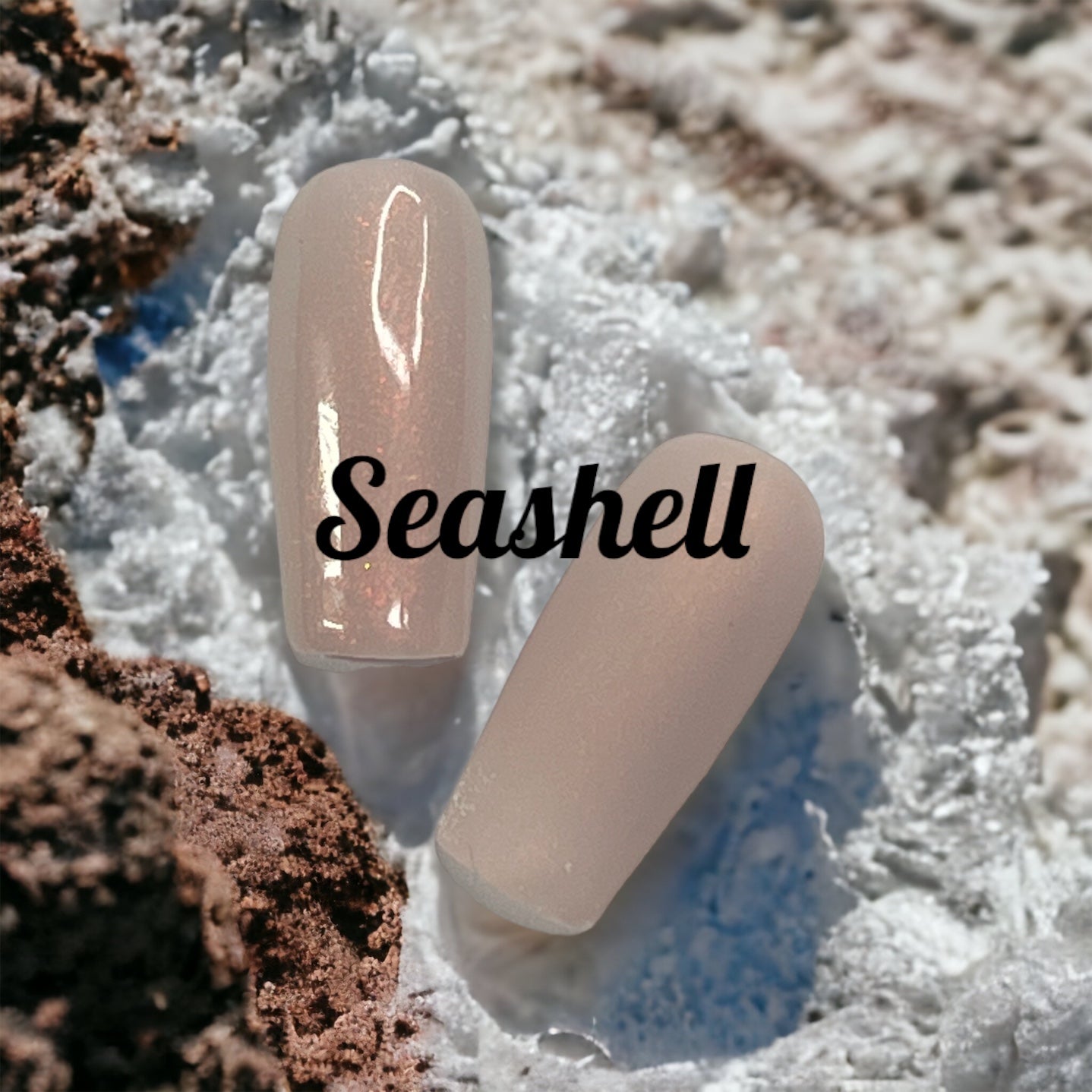 Absolute Seashell 15ml