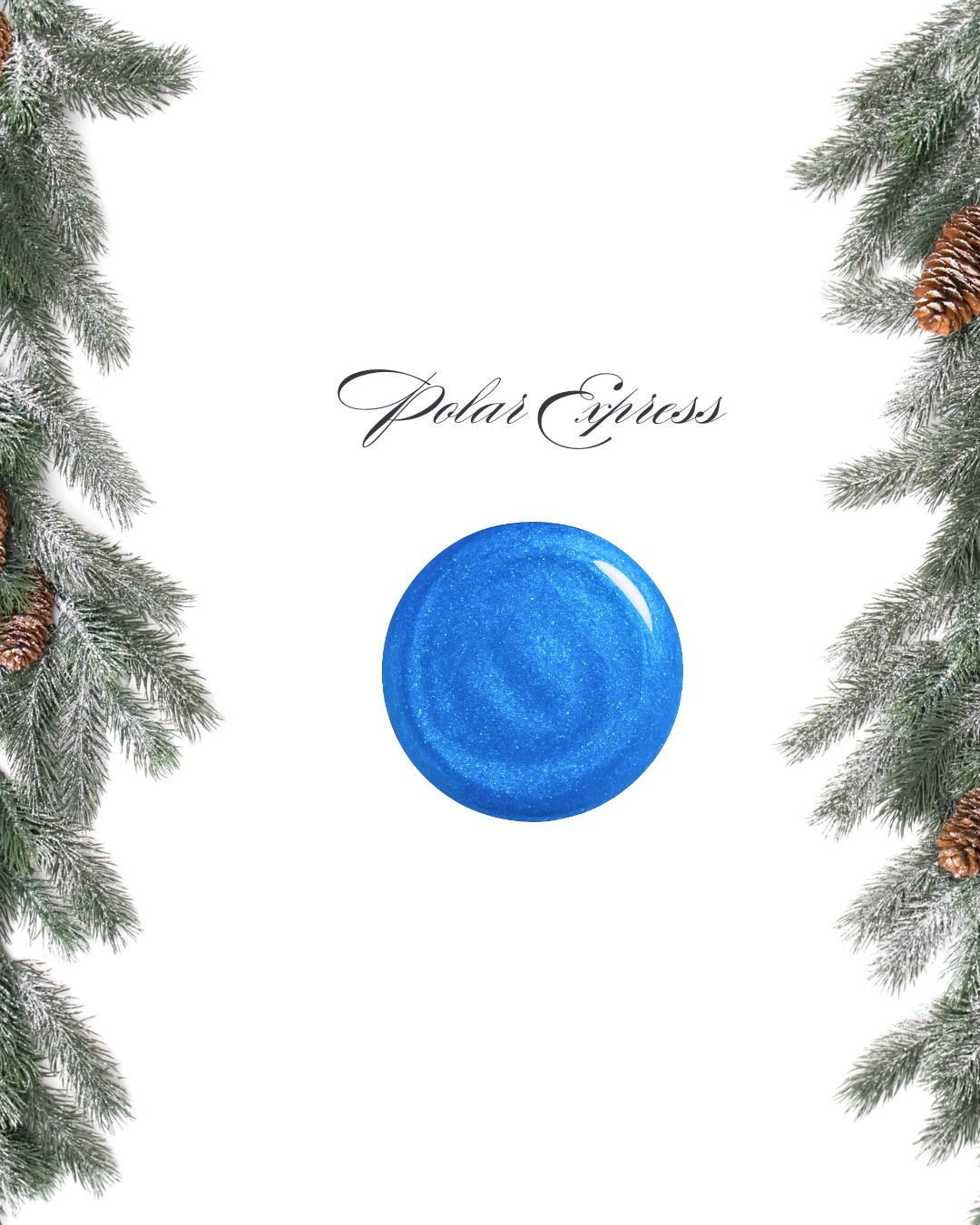 Absolute Polar Express HEMA Free 15ml