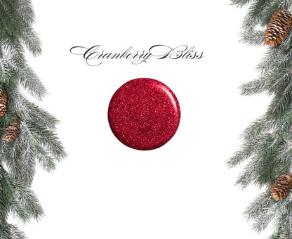 Christmas Wishes Collection (6pcs) 15ml HEMA FREE