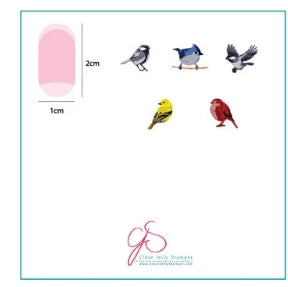 Steel Stamping Plates (6cm x 6cm) CjS-30 Itty Bitty Birds