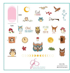 Steel Stamping Plates (8cm x 8cm) CJS-LC-96 Owl is Good