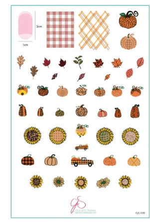 Steel Stamping Plate (14cm x 9cm) CJS 220- Pattern Pumpkins