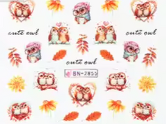 Water Decal Owls BN-2855