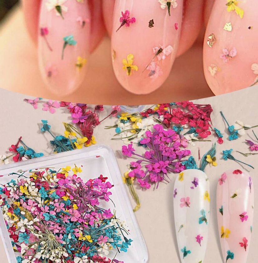 Fleurs séchées