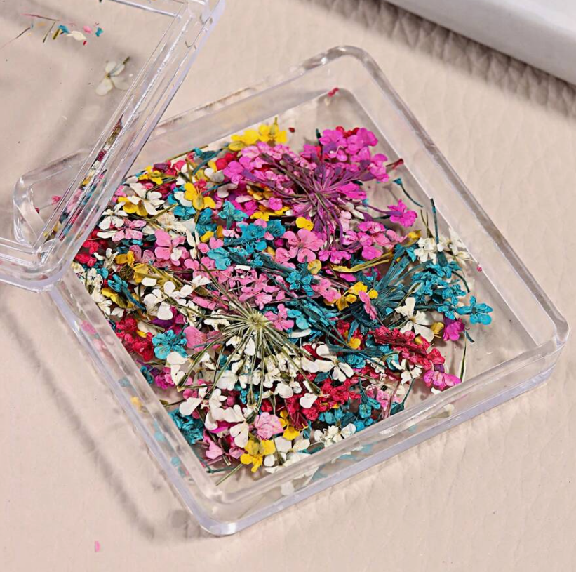 Dried Flowers (square)