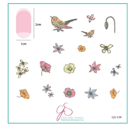 Sweet Tweet (CjS-239) Steel Nail Art Stamping Plate