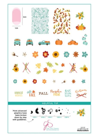 Steel Stamping Plate (14cm x 9cm) CjS-LC-57 Talia’s Pumpkin Patch