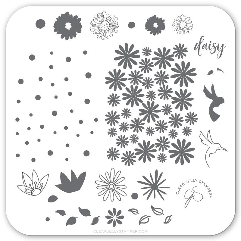 Steel Stamping Plates (6cm x 6cm) CjS-113 Daisy Do, Daisy Don’t